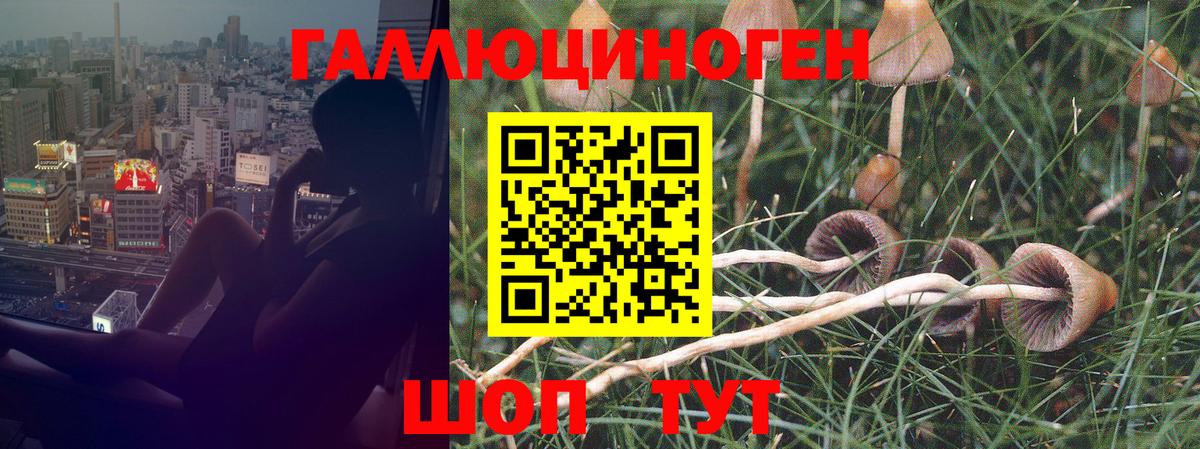 Псилоцибиновые грибы Psilocybine cubensis  Вход с VPN  цена наркотик  Гай 