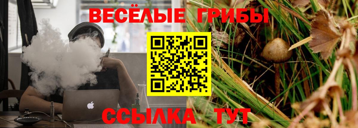 Галлюциногенные грибы Cubensis Гай